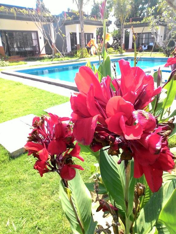 D'Mell Bali Nusa Dua (Bali) Exterior foto